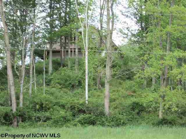 13601 Dry Fork Road Hendricks, WV 26271 - Photo 1 of 20 Gallery Image 1
