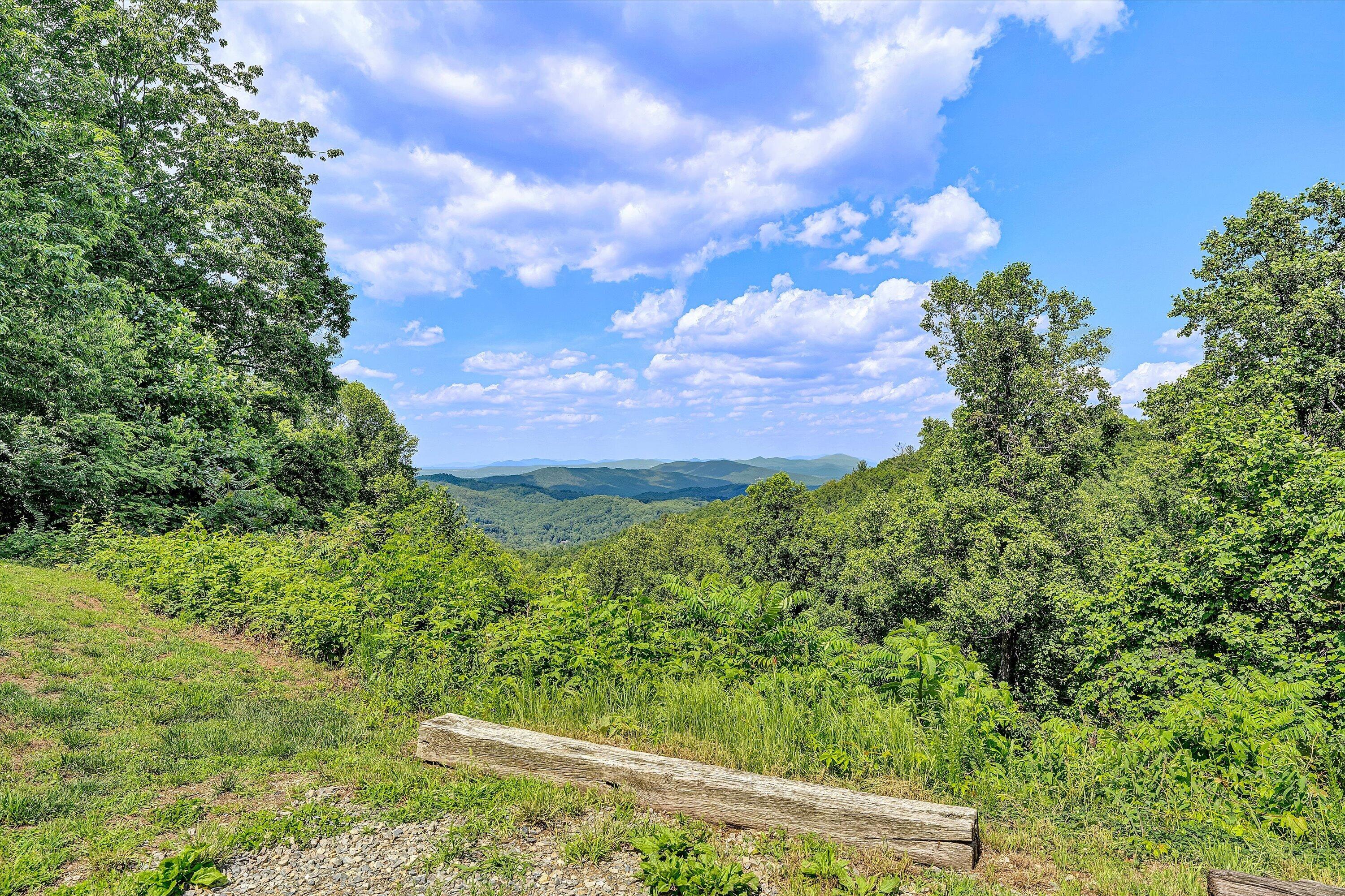 777 Hicks Hollow Road Boones Mill, VA 24065 - Photo 40 of 46 39-SGP-01432