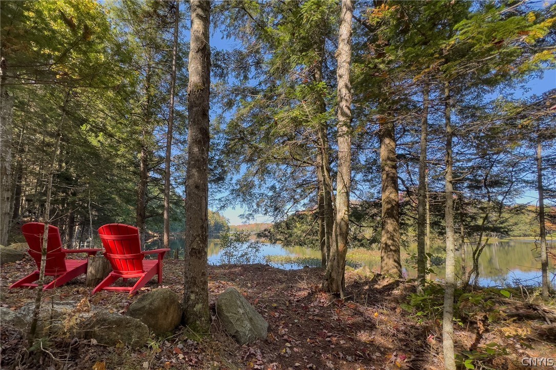 0 South Road Forestport, NY 13338 - Photo 12 of 28