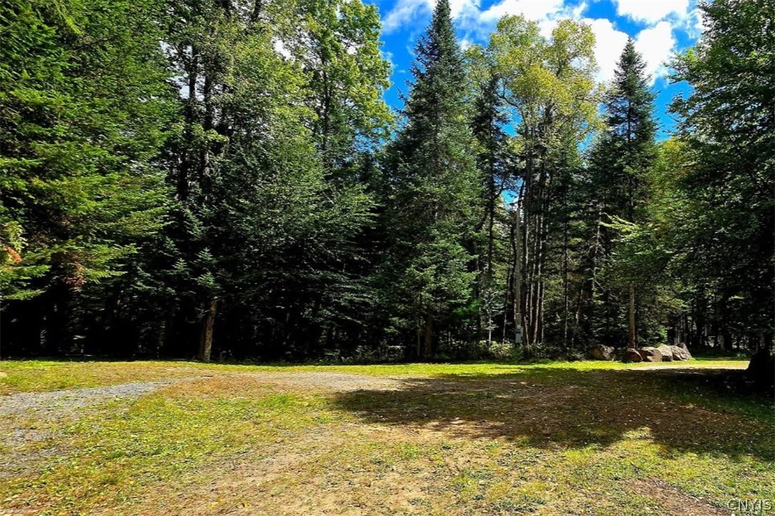 0 South Road Forestport, NY 13338 - Photo 20 of 28