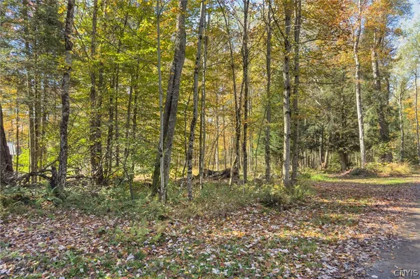 $275,000 | 0 South Road, Forestport, NY 13338