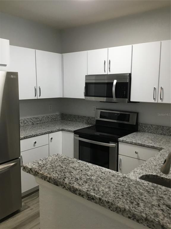 202 East South Street, Unit 4050 Orlando, FL 32801 - Photo 4 of 13