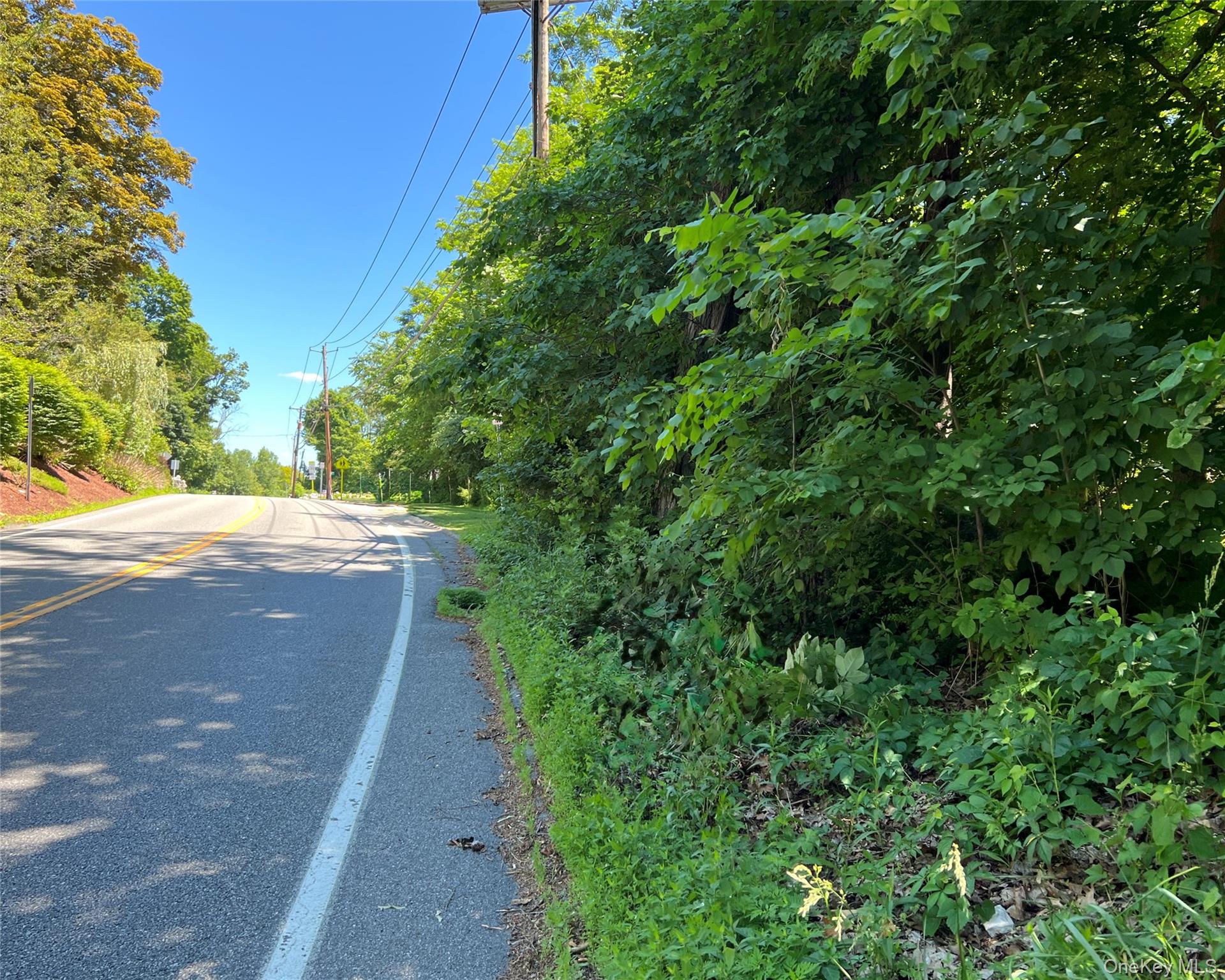 0 Baldwin Place Road Mahopac, NY 10541 - Photo 4 of 5