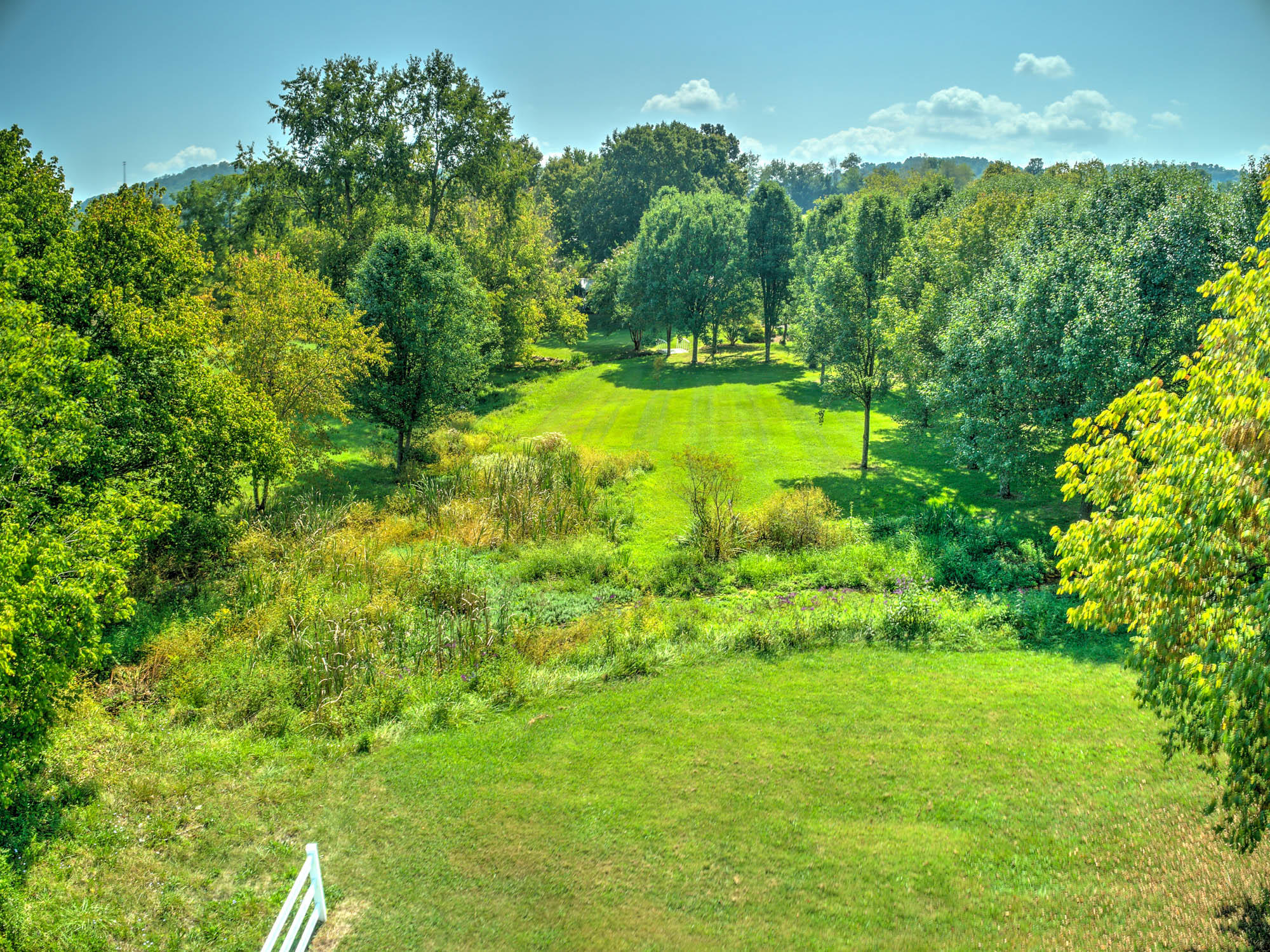 1185 Rice Cross Road Piney Flats, TN 37686 - Photo 122 of 133 1185 Rice Cross Rd-8