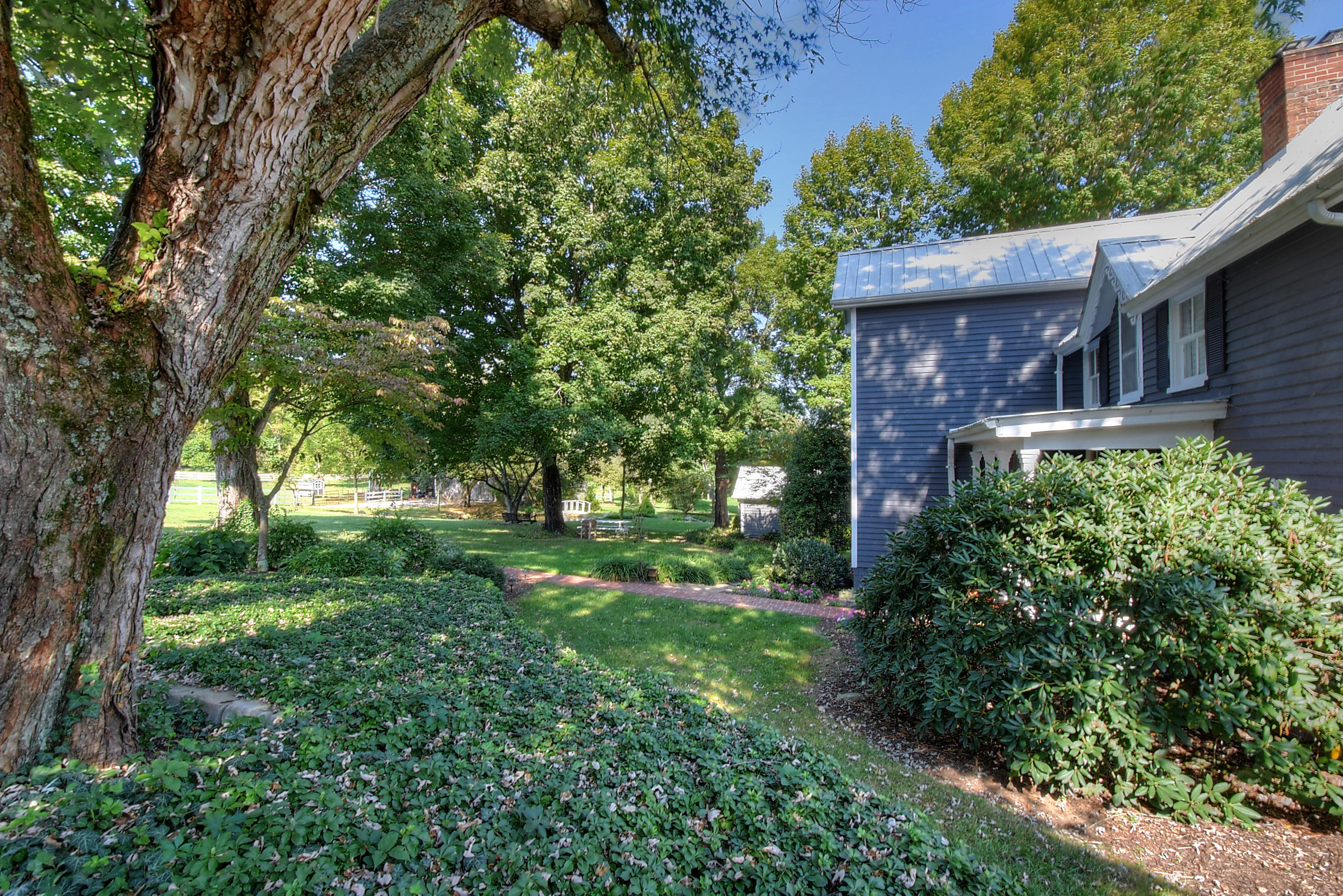 1185 Rice Cross Road Piney Flats, TN 37686 - Photo 67 of 133 DSC_0251_2_3