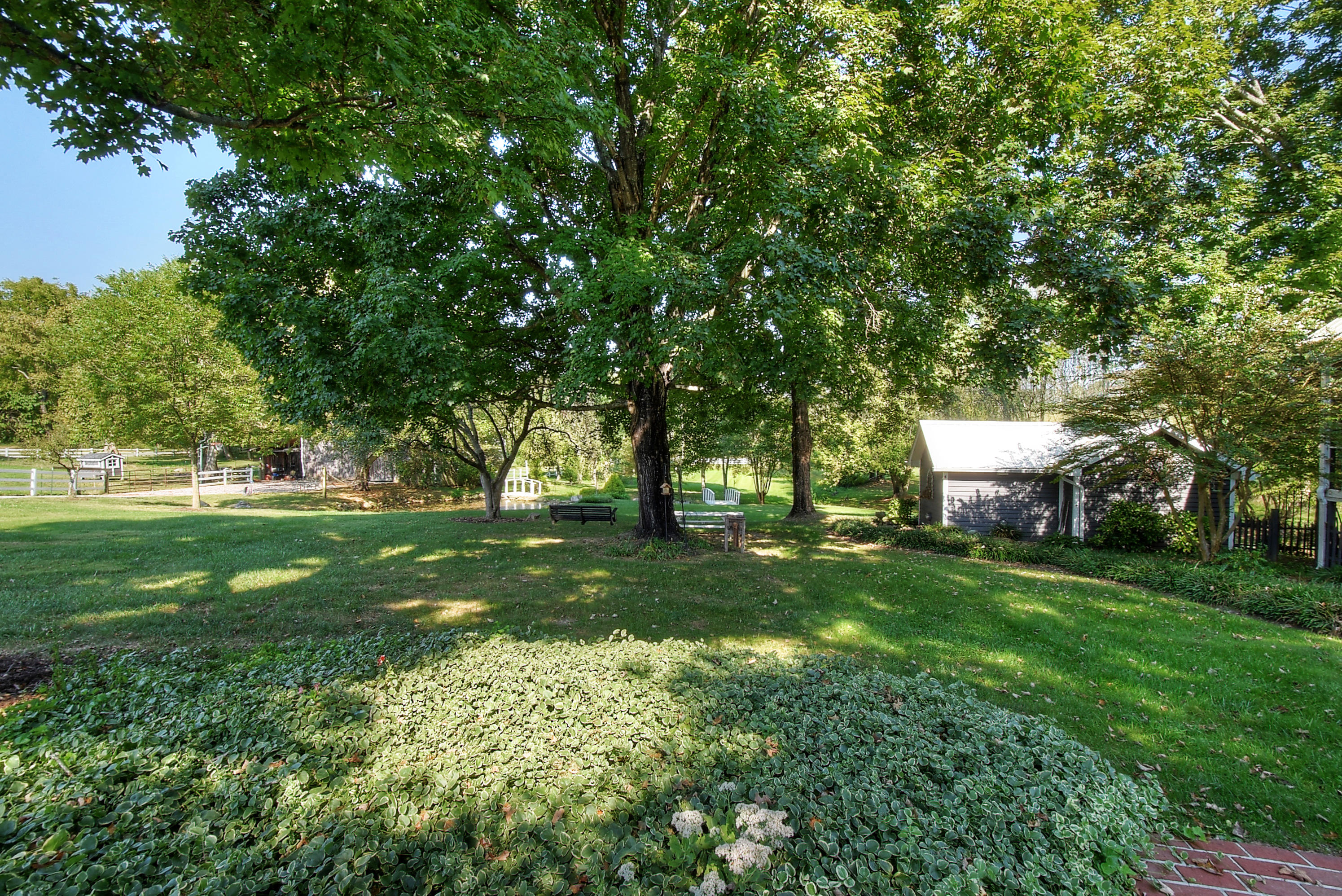 1185 Rice Cross Road Piney Flats, TN 37686 - Photo 71 of 133 DSC_0263_4_5