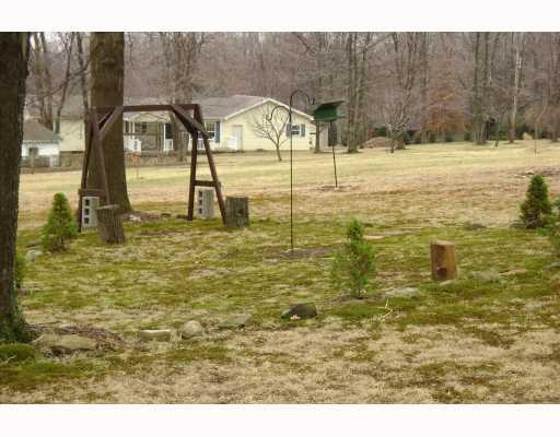 245 Chestnut Road Penn Run, PA 15765 - Photo 6 of 8 Land/Lot.