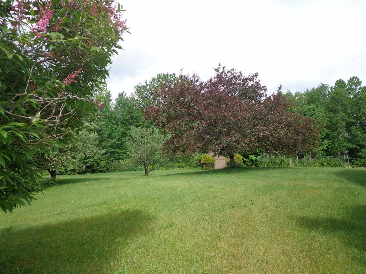 1141 North Derby Road Derby, VT 05855 - Photo 8 of 39 Gallery Image 8