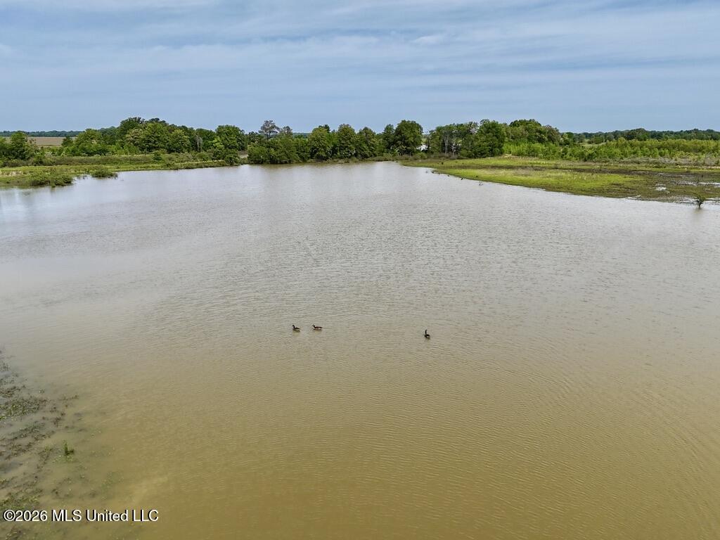 1 Highway 3 Lambert, MS 38643 - Photo 63 of 102 4255312F-3154-432D-8B22-B81505969310_1_1