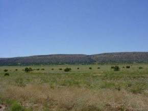 479 Saddle Rock Road Seligman, AZ 86337 - Photo 3 of 3 Additional Photo