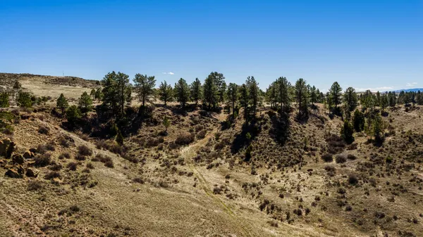 $1,690,000 | 823 Decker Road, Sheridan, WY 82801
