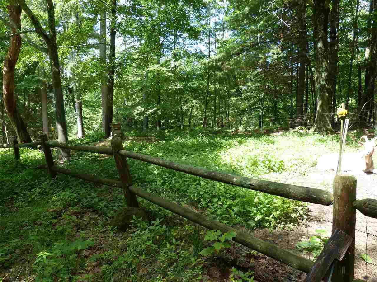 159 Dennison Pond Road Francestown, NH 03043 - Photo 34 of 40 Gallery Image 34