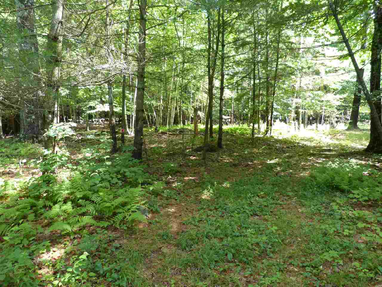 159 Dennison Pond Road Francestown, NH 03043 - Photo 37 of 40 Gallery Image 37