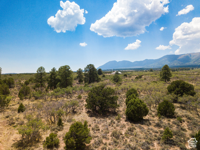 0 North Creek Road Monticello, UT 84535 - Photo 6 of 13 Mountain view featuring rural landscape