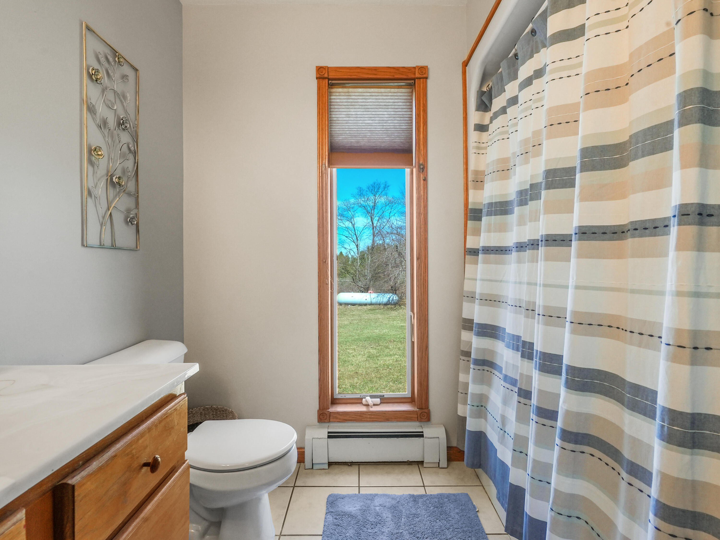 8188 South 41 Road Cadillac, MI 49601 - Photo 28 of 50 DSC04023