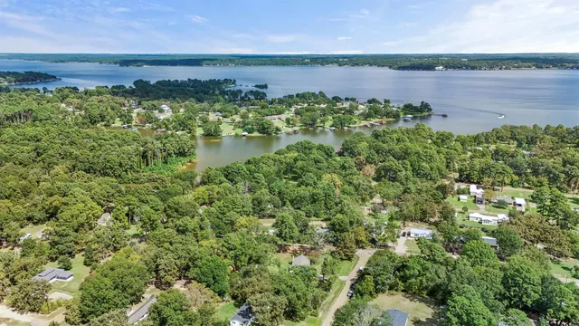 a view of a lake with a city
