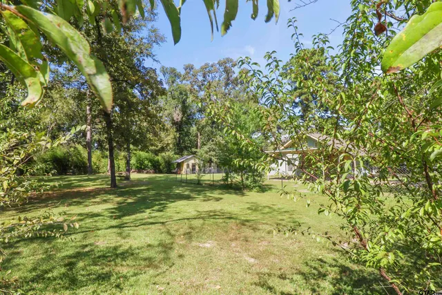 a view of a yard with plants and trees