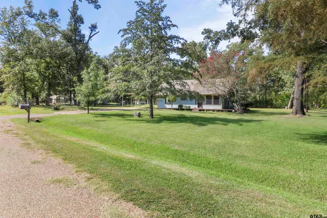 a view of a trees in a park