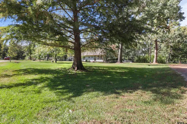 a big yard with lots of green space and trees