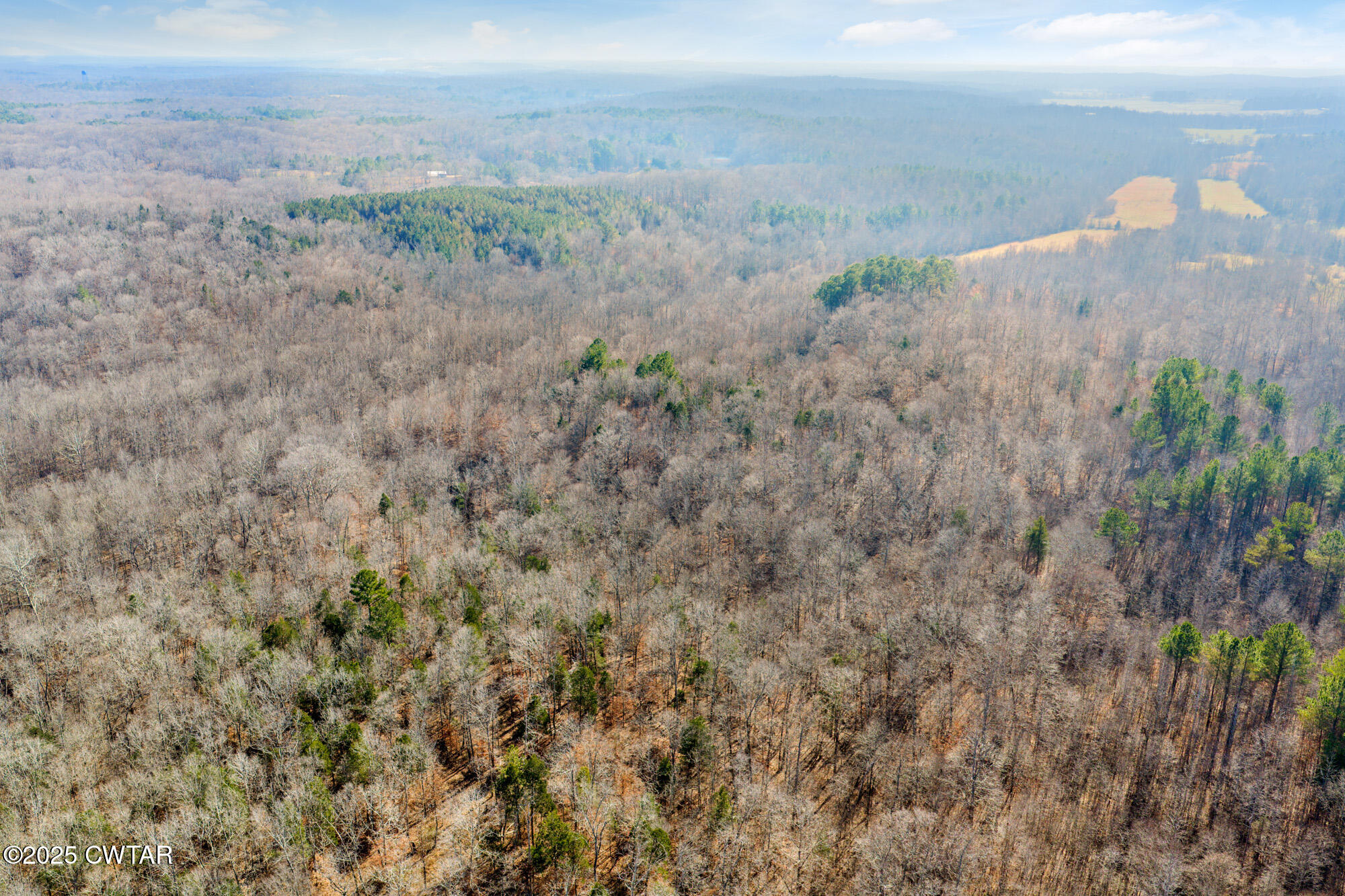 0 Holladay Road Parsons, TN 38363 - Photo 11 of 16 DJI_20251209123129_0156_D