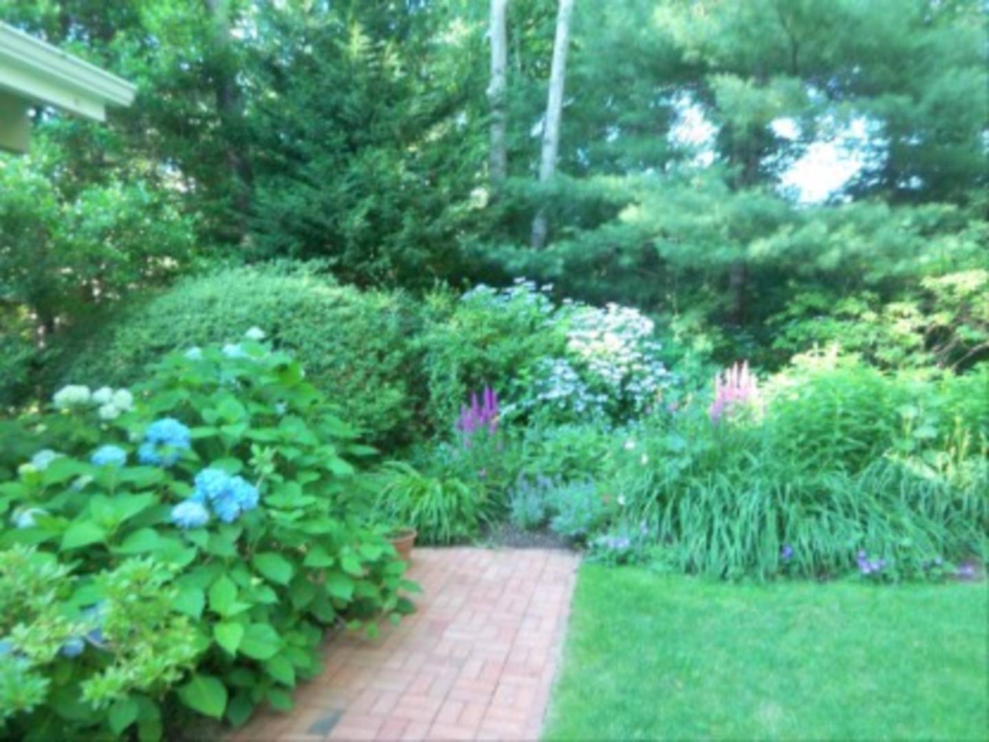 182 Cove Hollow Road East Hampton, NY 11937 - Photo 12 of 14 a view of a garden