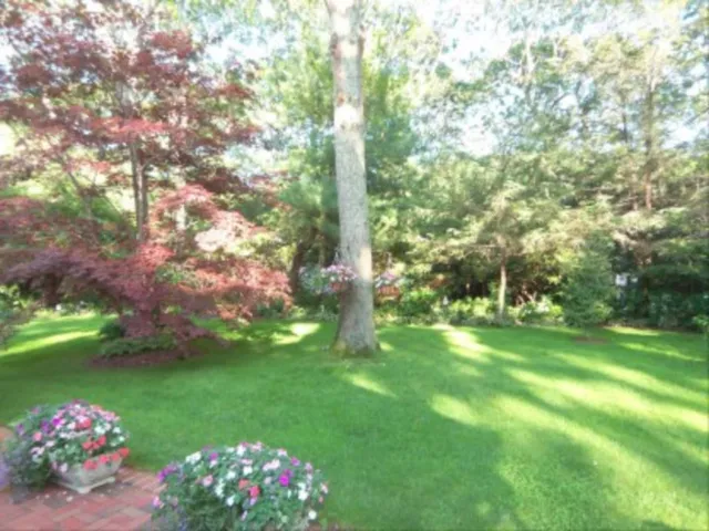 a view of a flowers in a yard with swimming pool