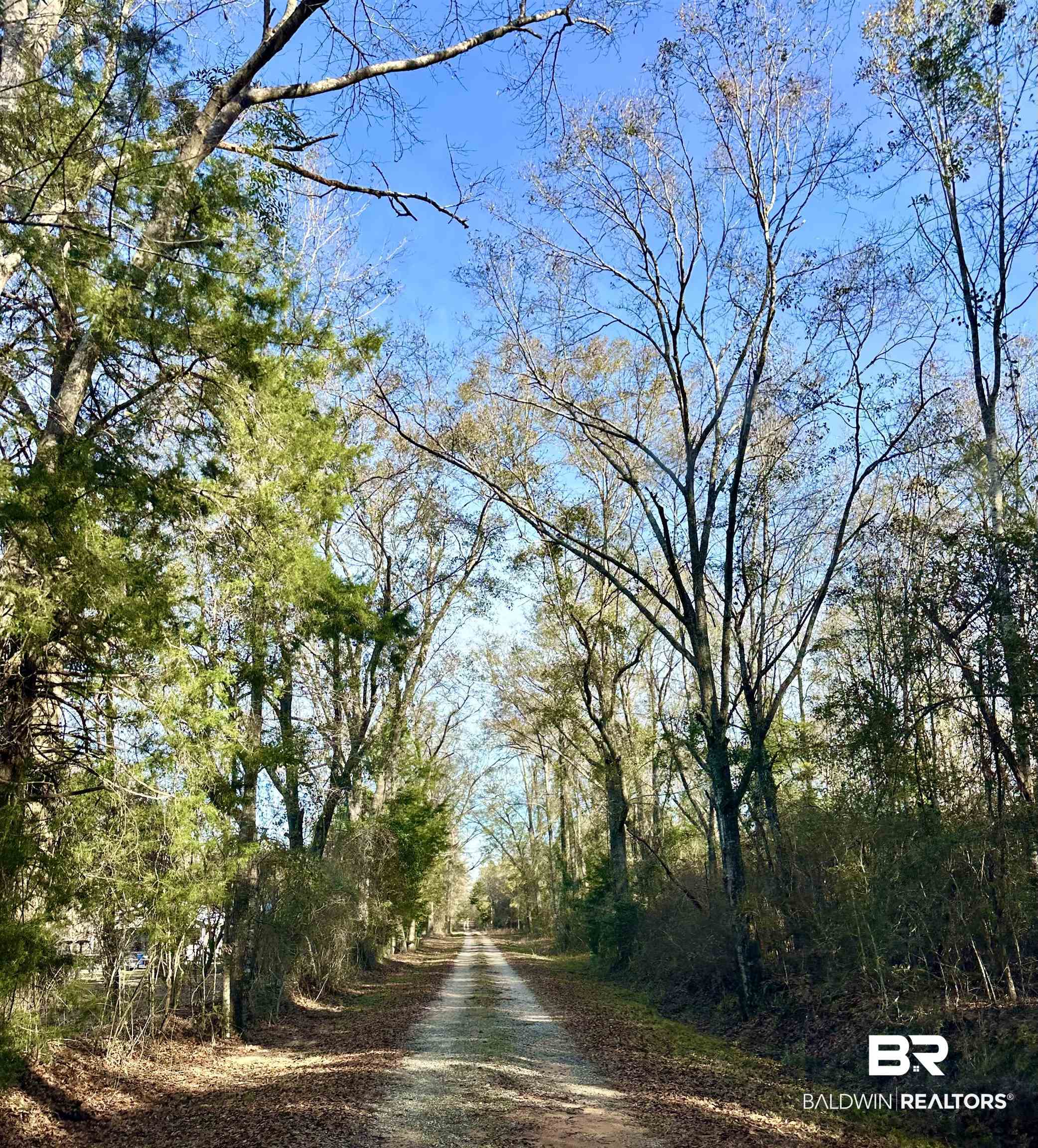 3881 Old Atmore Road Flomaton, AL 36441 - Photo 22 of 22 View of road
