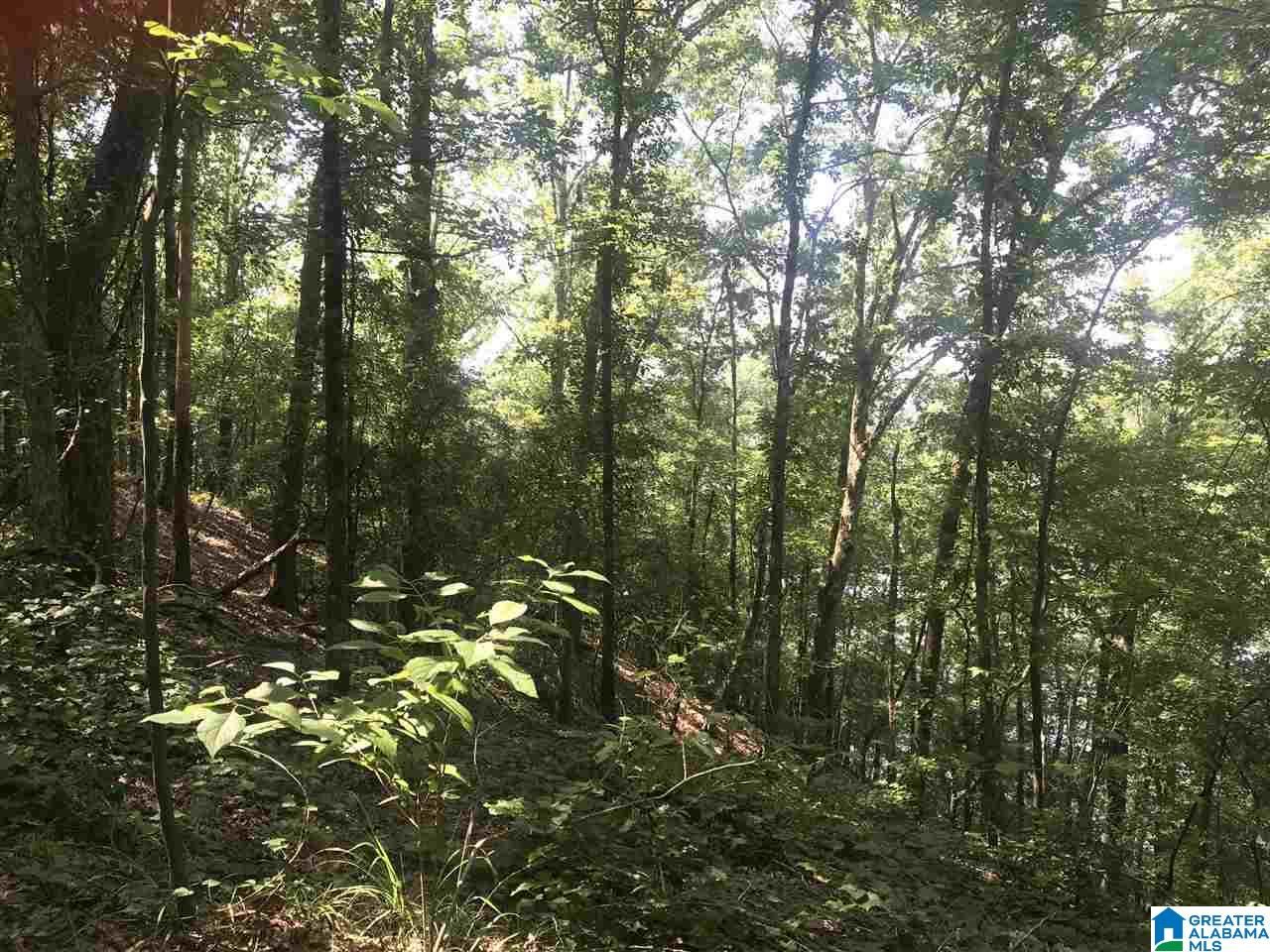 0 Sleepy Hollow Road, Unit 75 Rockford, AL 35136 - Photo 17 of 33