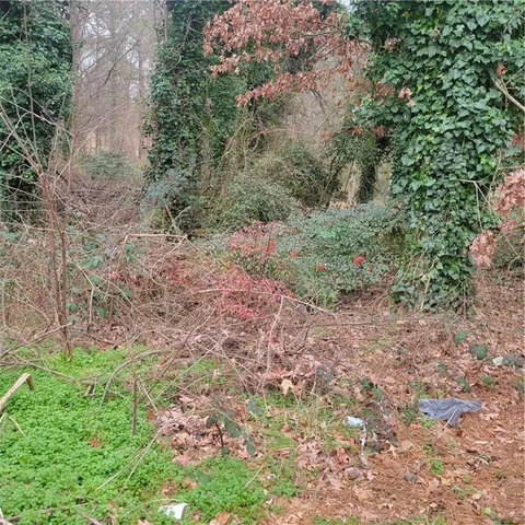 a view of a yard with a tree