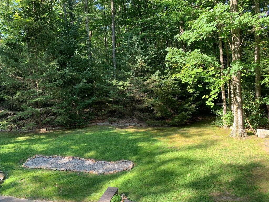 101 Cabin Road Normalville, PA 15469 - Photo 31 of 36 a view of backyard with green space