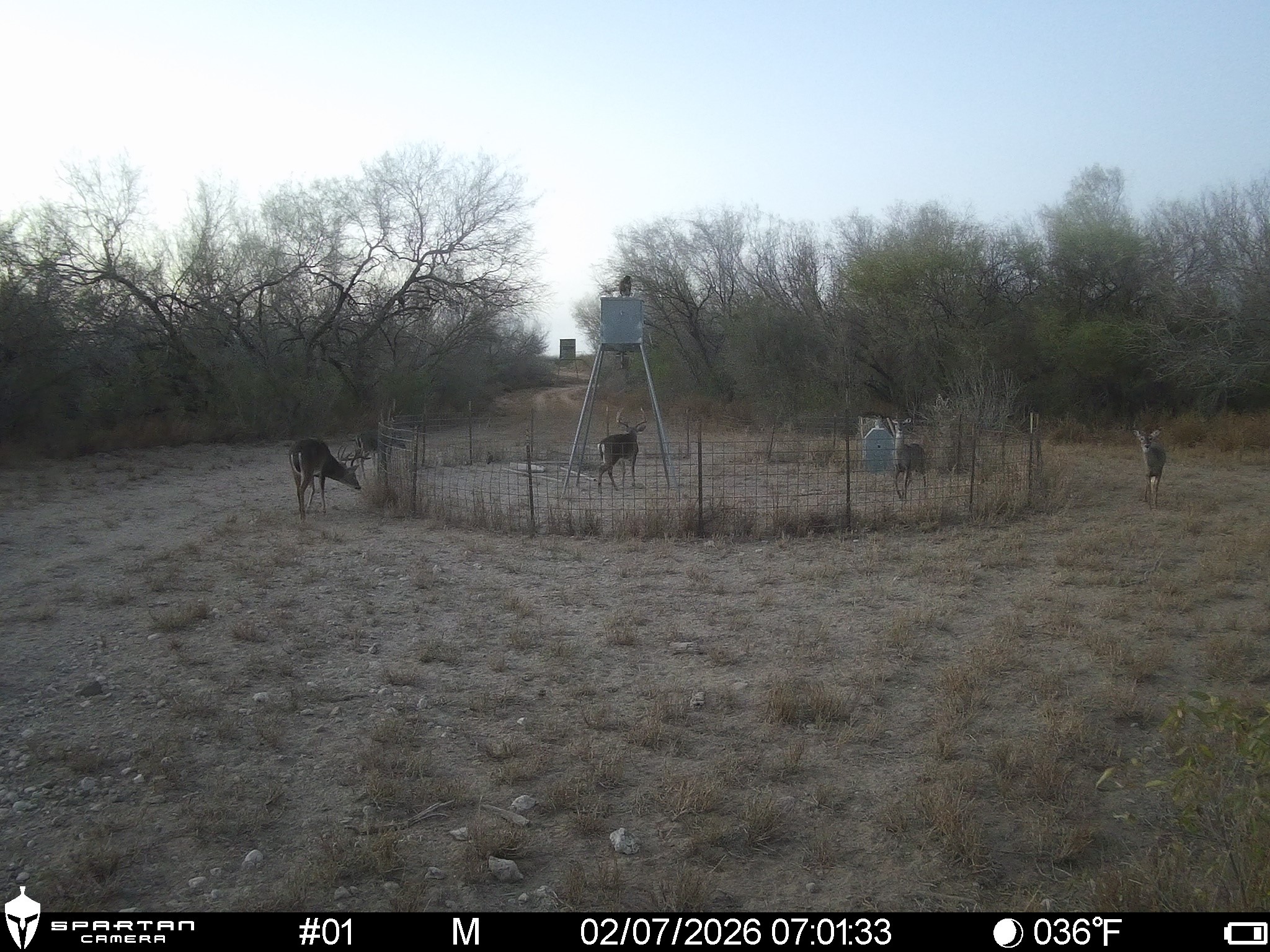 0 Las Brisas Road Rio Grande City, TX 78582 - Photo 15 of 32 a view of a yard with a bench