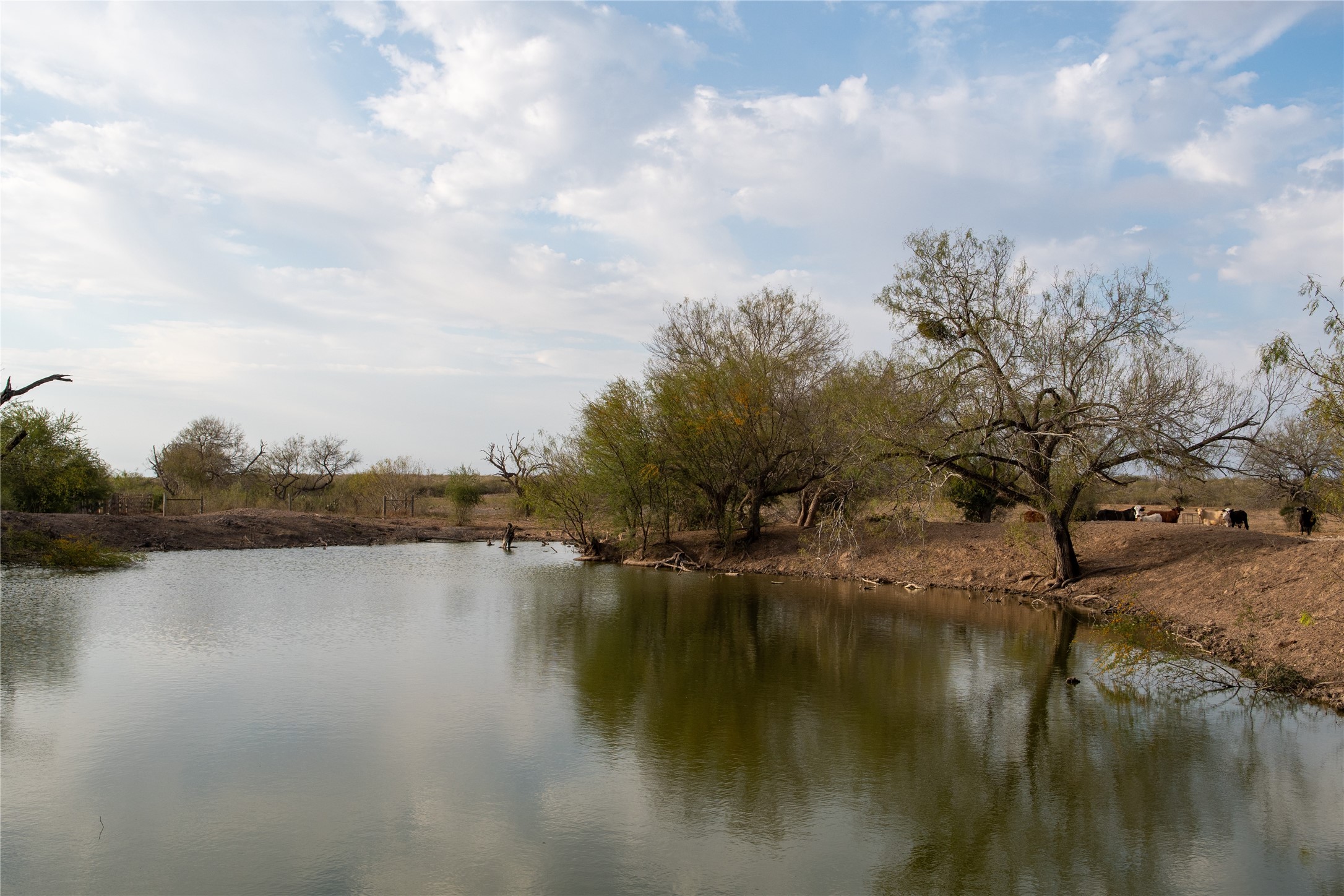 0 Las Brisas Road Rio Grande City, TX 78582 - Photo 16 of 32 a view of lake with green space