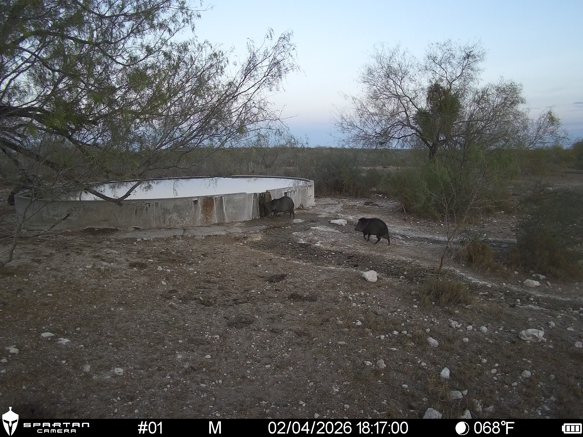 0 Las Brisas Road Rio Grande City, TX 78582 - Photo 20 of 32 a view of outdoor space with city view