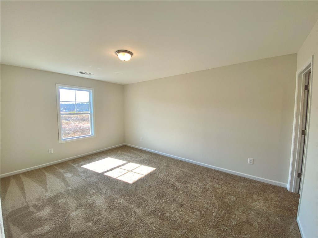234 Samuel Street Pendleton, SC 29670 - Photo 30 of 30