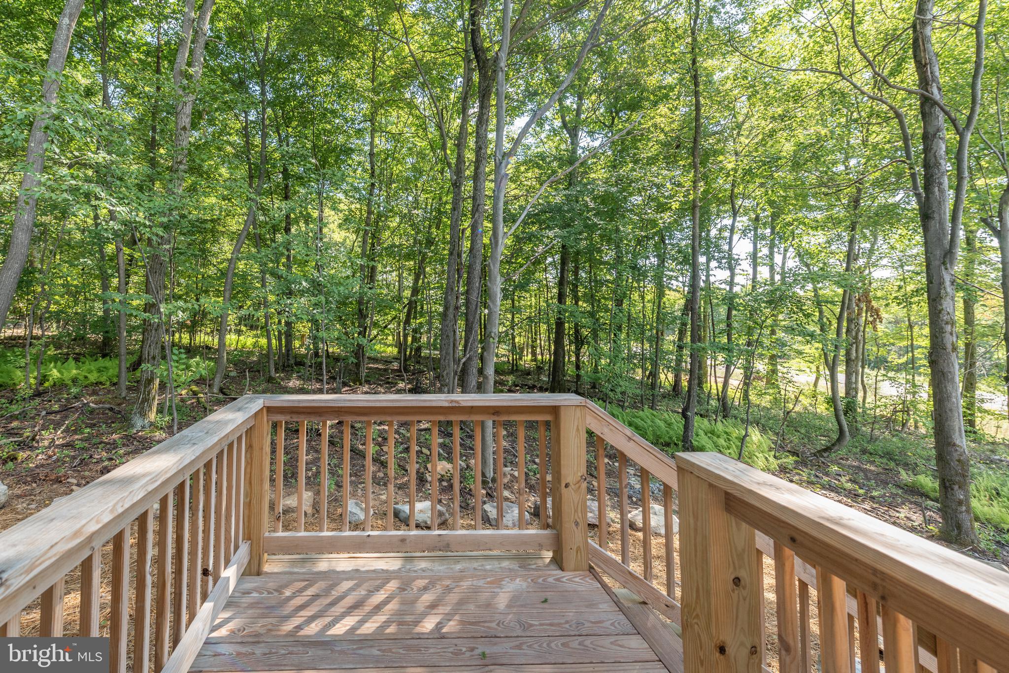 158 Wisp Adventure Road McHenry, MD 21541 - Photo 46 of 48