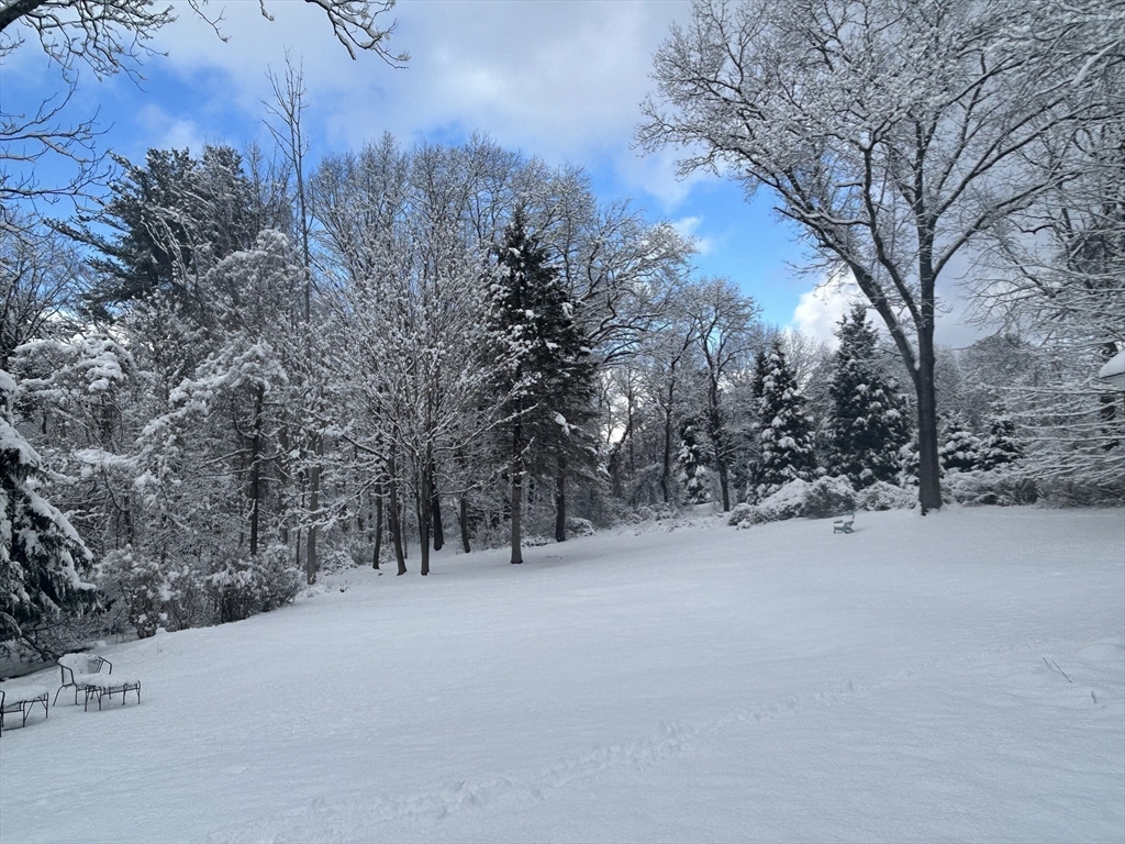 90 Barretts Mill Road Concord, MA 01742 - Photo 40 of 41