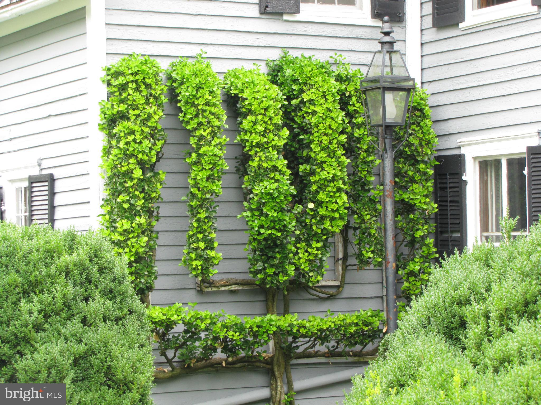 2879 Leeds Manor Road Markham, VA 22643 - Photo 19 of 30 Exterior (General)