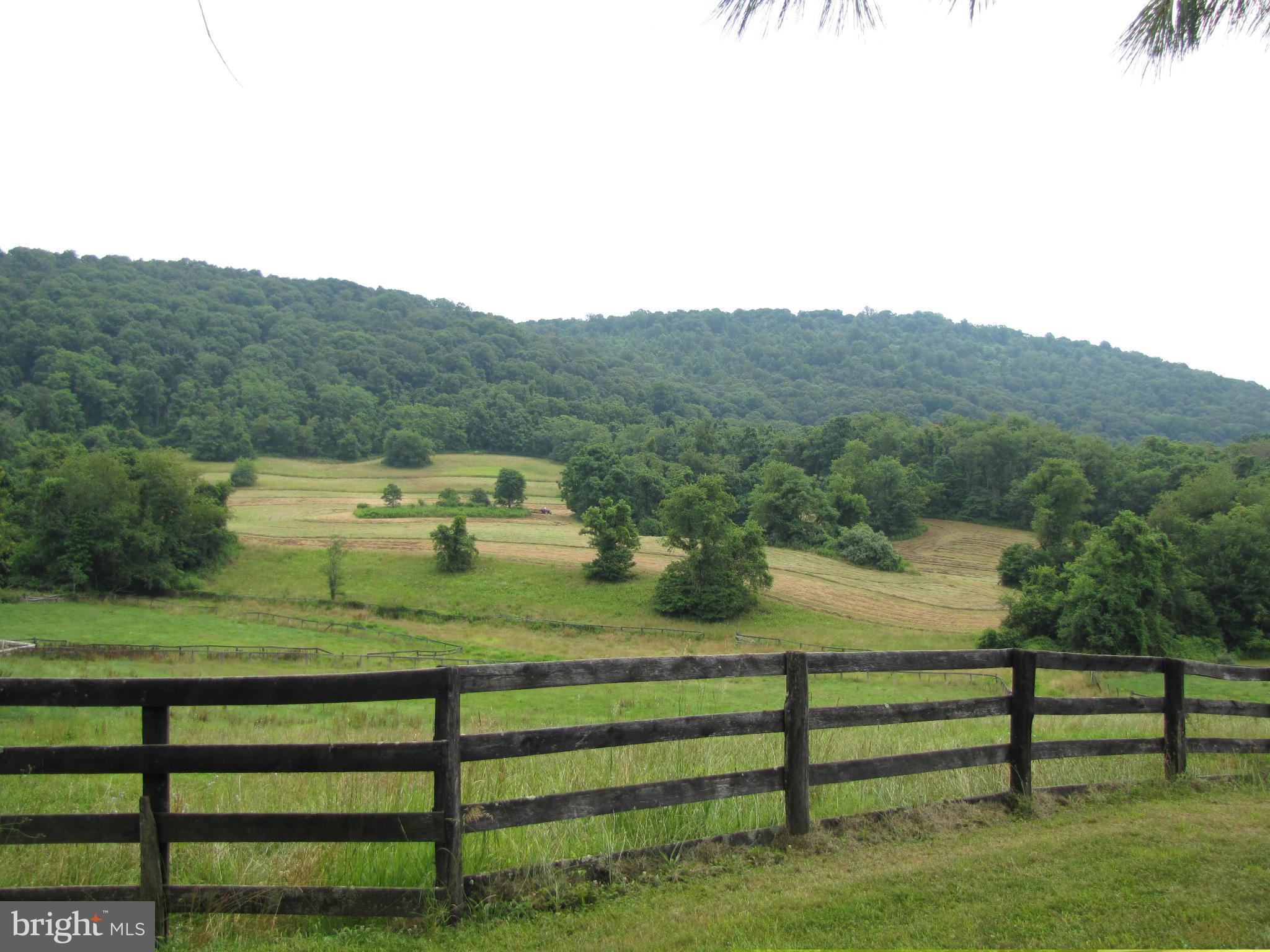 2879 Leeds Manor Road Markham, VA 22643 - Photo 28 of 30 Fenced pasture and hillside
