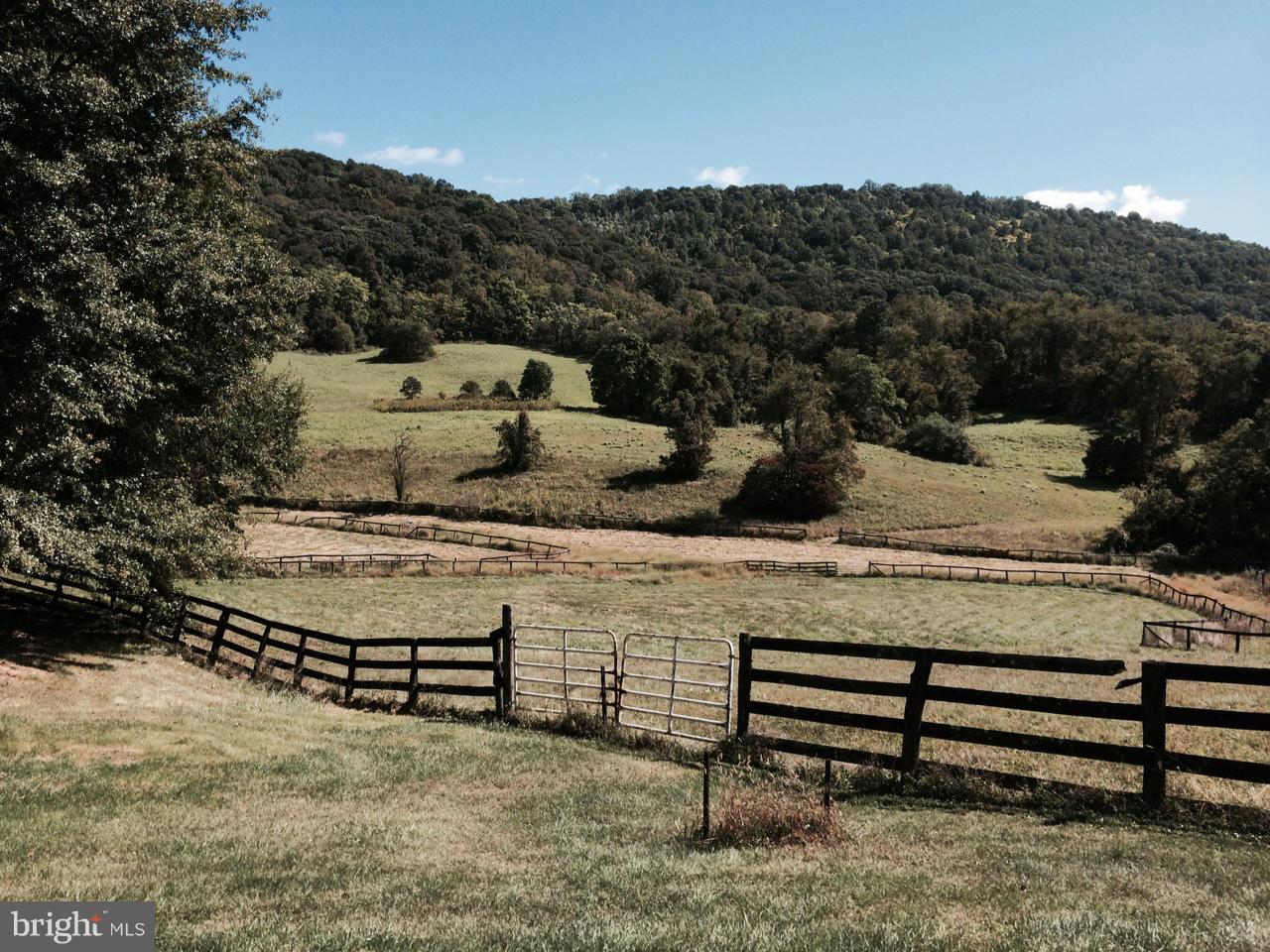 2879 Leeds Manor Road Markham, VA 22643 - Photo 30 of 30 Pasture