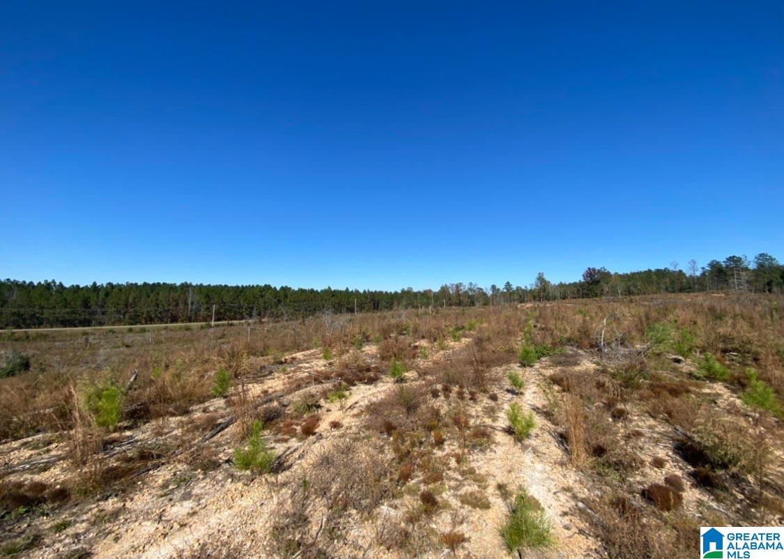 0 County Road 16 Clanton, AL 35045 - Photo 1 of 3