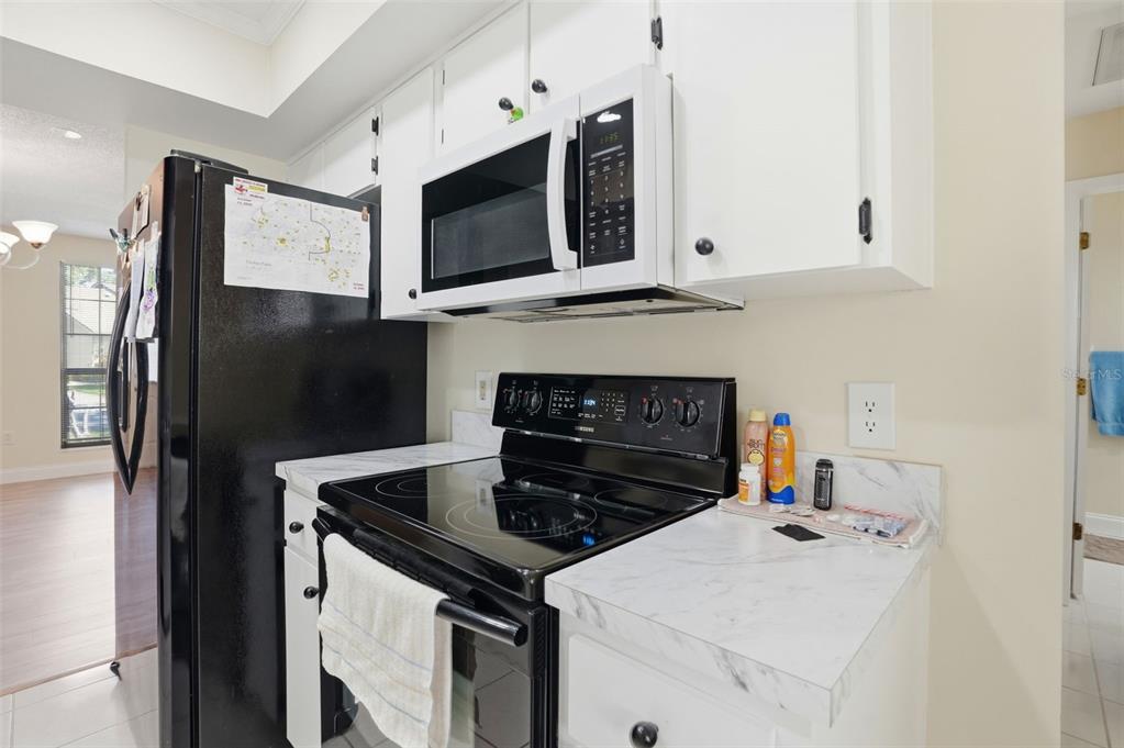 6575 Brambleleaf Drive Spring Hill, FL 34606 - Photo 19 of 37