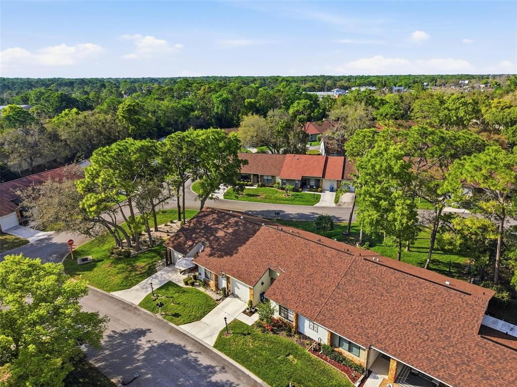 6575 Brambleleaf Drive Spring Hill, FL 34606 - Photo 29 of 37