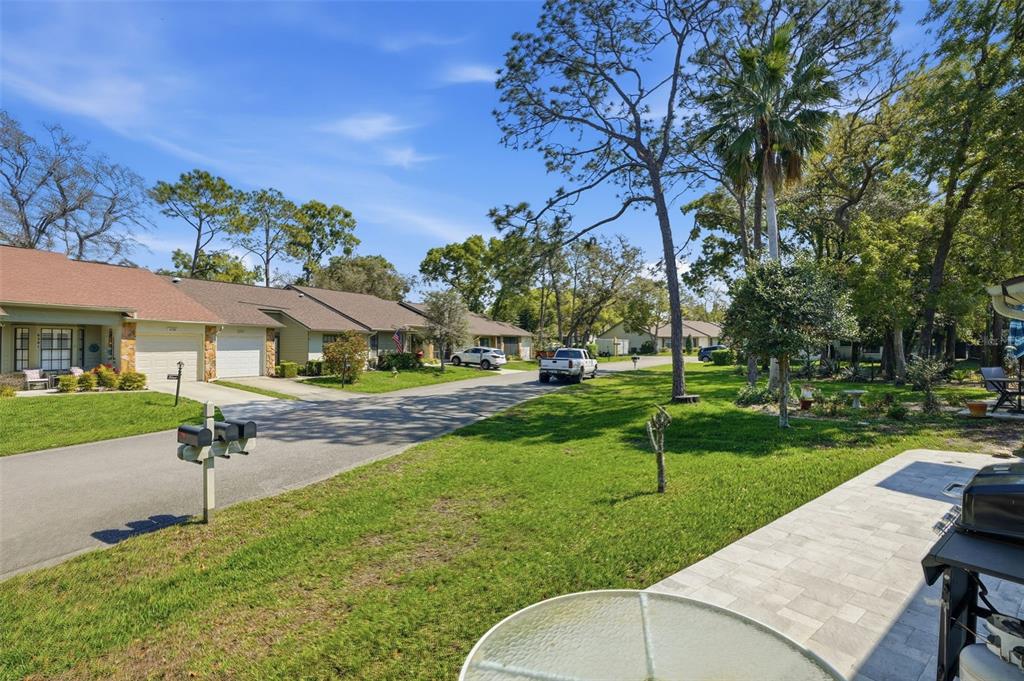 6575 Brambleleaf Drive Spring Hill, FL 34606 - Photo 31 of 37