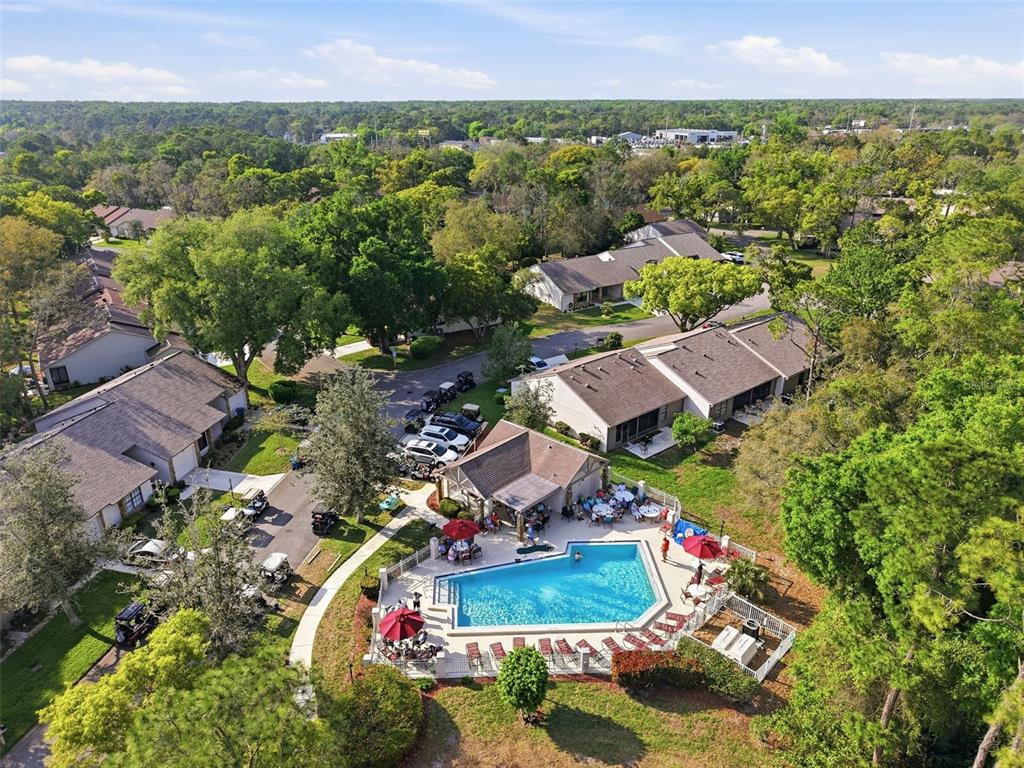 6575 Brambleleaf Drive Spring Hill, FL 34606 - Photo 33 of 37