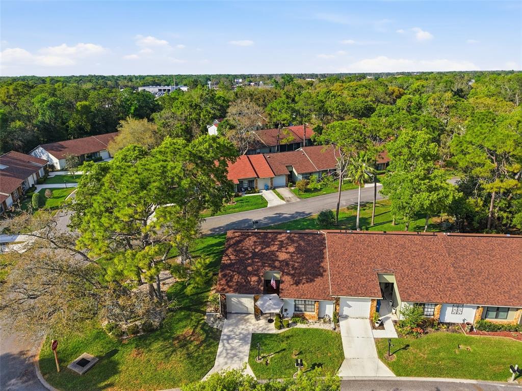 6575 Brambleleaf Drive Spring Hill, FL 34606 - Photo 34 of 37