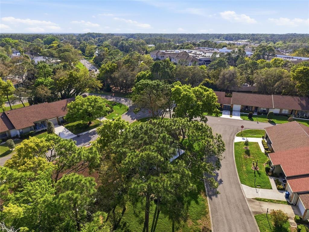 6575 Brambleleaf Drive Spring Hill, FL 34606 - Photo 35 of 37