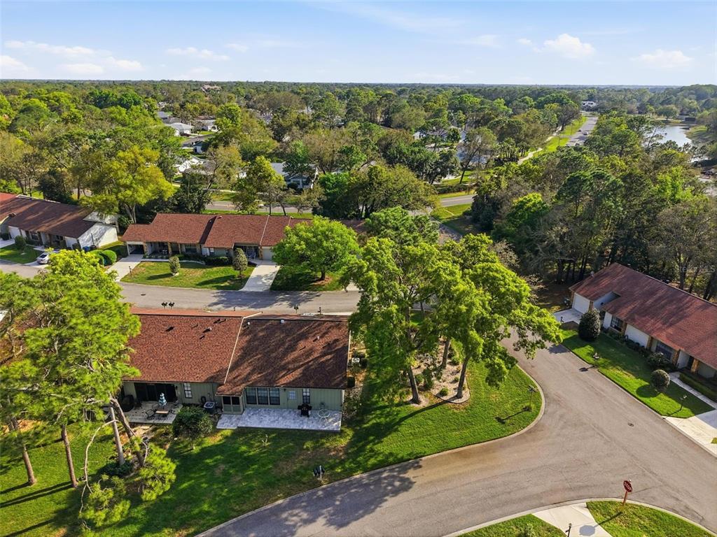 6575 Brambleleaf Drive Spring Hill, FL 34606 - Photo 36 of 37