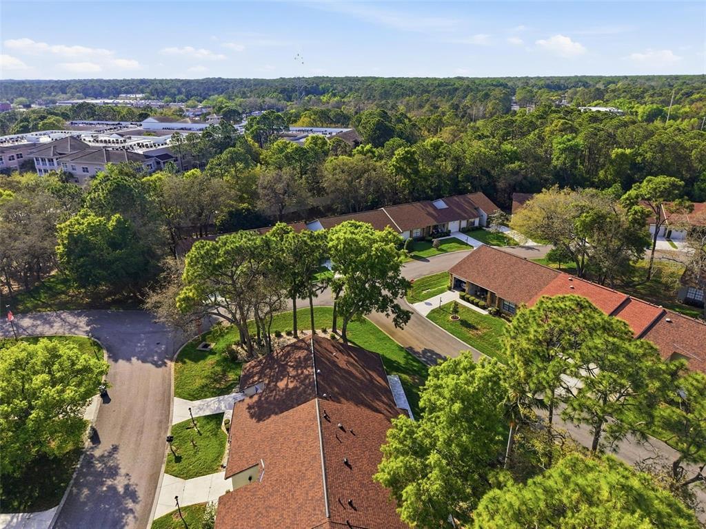 6575 Brambleleaf Drive Spring Hill, FL 34606 - Photo 37 of 37