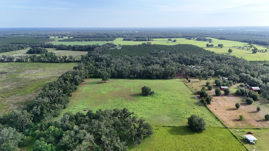 Vacant 145th Road Live Oak, FL 32060 - Photo 3 of 42