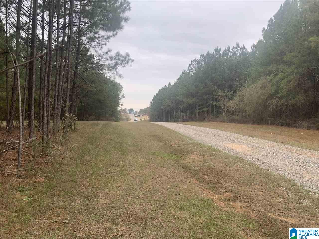 0 Homestead Drive, Unit 1 Springville, AL 35146 - Photo 29 of 32